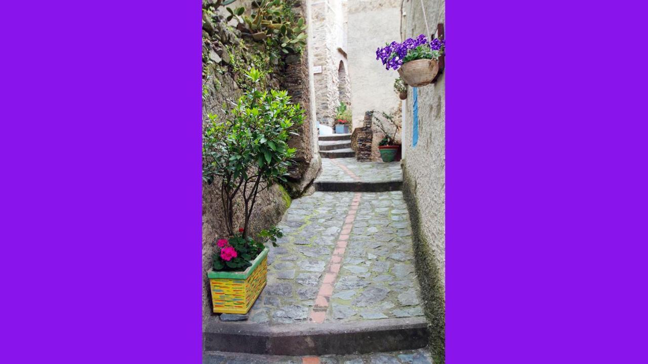 Albergo Diffuso Ecobelmonte Belmonte Calabro Eksteriør bilde